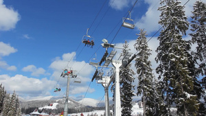 在白雪覆盖的圣诞树林里滑雪者坐着滑雪升降机游玩20秒视频