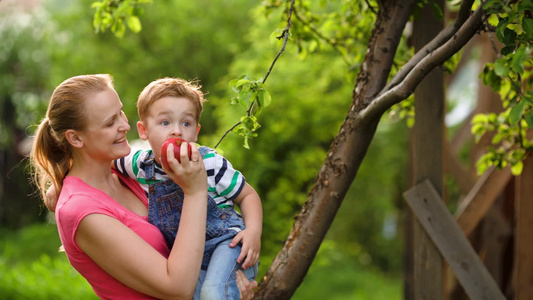 母亲喂小男孩吃苹果视频
