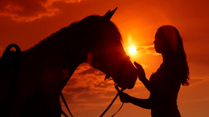 女孩带着她的马在夕阳中19秒视频