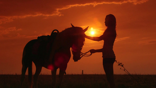 年轻女孩在日落时抚摸她的马视频