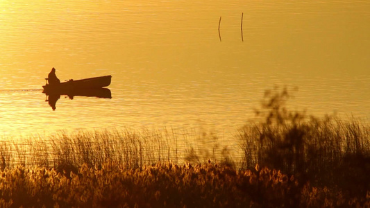 在日落的光线下湖面上的小船视频