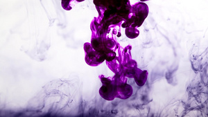 白色水中紫色墨水的抽象背景25秒视频