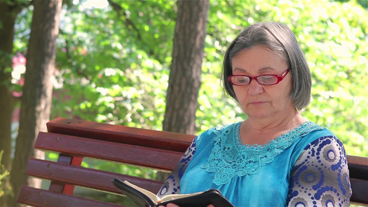 老妇人在公园长凳上读圣经视频