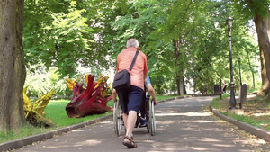 公园里老人推轮椅上的亲人27秒视频