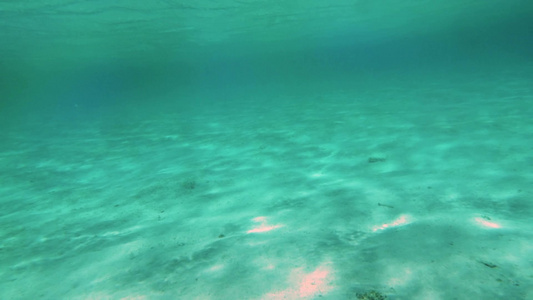 平静的海洋水柱的缓慢运动视频