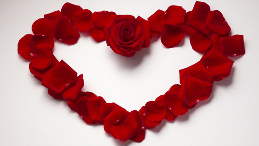 红色玫瑰花瓣心形素材视频