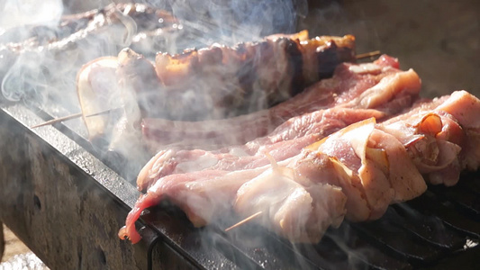 野餐烧烤烘焙猪肉里脊串视频