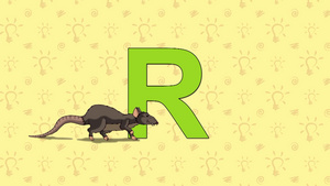  字母r和卡通老鼠26秒视频