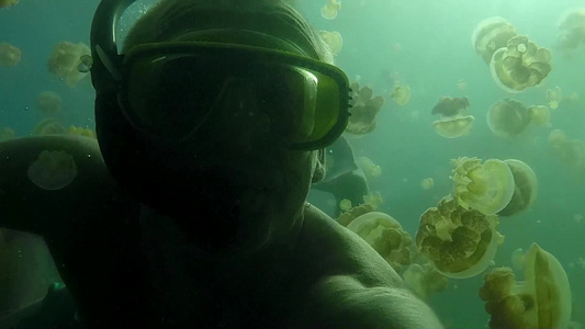 水母海岛潜水运动视频