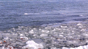 湖面上融化的冰块25秒视频