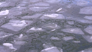 湖面上的冰块25秒视频