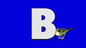 蓝色背景字母B前景中的小鸟动画15秒视频