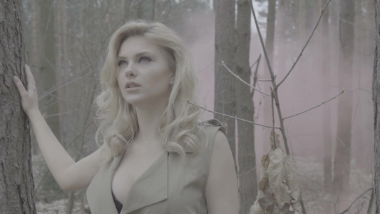 美丽的金发女人在森林里视频