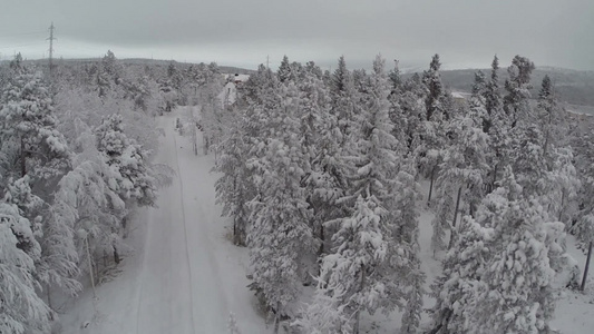 空中拍摄的道路在松木导致冬季娱乐湖边视频