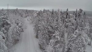 空中拍摄的道路在松木导致冬季娱乐湖边18秒视频