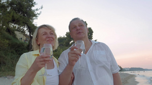 在海边喝酒看风景的老年夫妇38秒视频