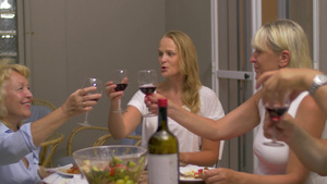 周末家庭聚会一起享用晚餐18秒视频
