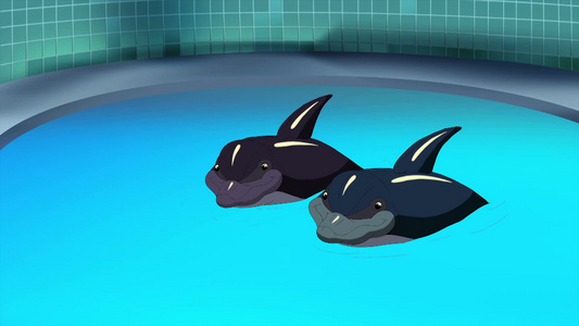 两只海豚卡通动画视频