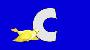 字母C和小鸟动画15秒视频