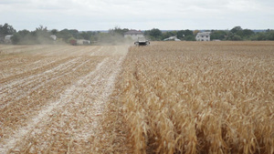 联合收割机在农田上收集粮食13秒视频