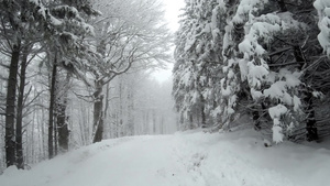 冬天山上被雪覆盖的道路19秒视频