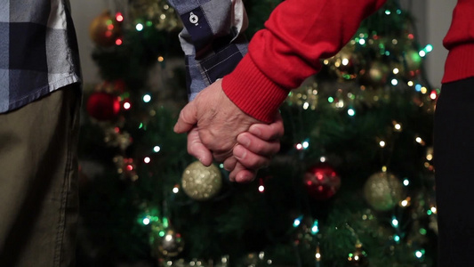 老年夫妇在圣诞树前牵手视频