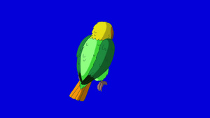 蓝色背景上旋转的鹦鹉动画11秒视频