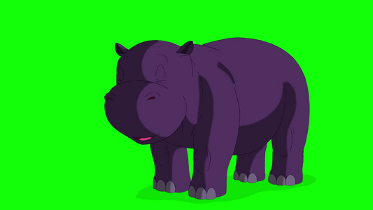 小紫罗兰河马醒来动画运动图形隔离在绿色屏幕上视频