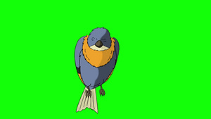 动画运动图蓝色的鸟坐着唱歌7秒视频
