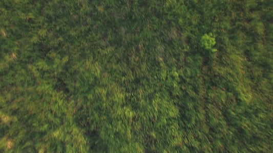 空中拍摄农场农田视频