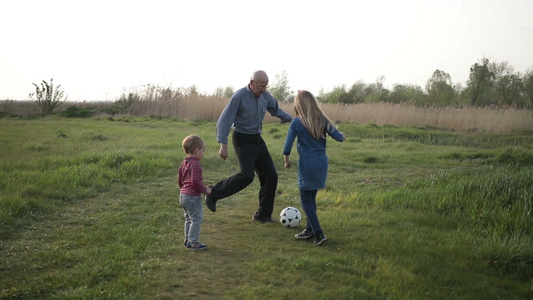 英俊的祖父教孙子孙女在绿色草坪上踢足球视频