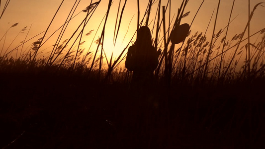 在夕阳照耀下拿着心形气球站在田野里的女孩视频