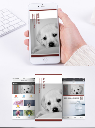 爱护动物手机海报配图图片