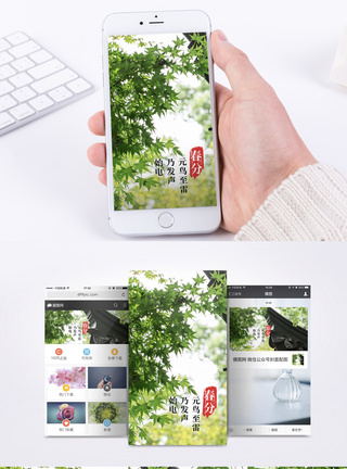 禅意玄关春天日签手机海报配图模板