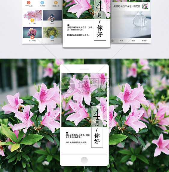 你好四月春天花朵手机海报配图图片