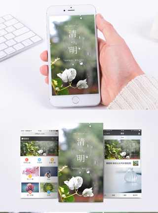 花瓣高清素材二十四节气之清明节手机海报配图模板
