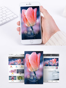 春天粉色花朵手机海报图片