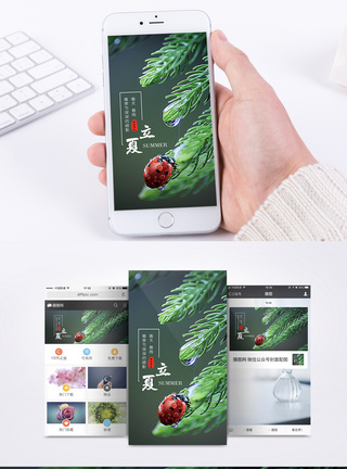 绿叶立夏手机海报配图模板