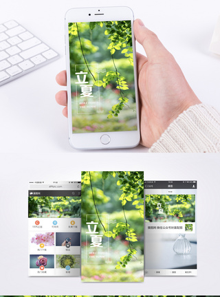 绿叶立夏手机海报配图模板