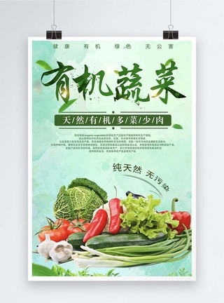 新鲜时令有机蔬菜海报图片
