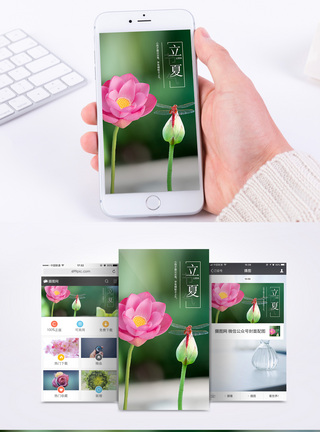 蜻蜓二十四节气立夏手机海报配图模板