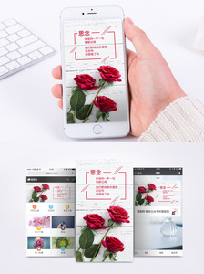 玫瑰花的思念手机海报配图图片