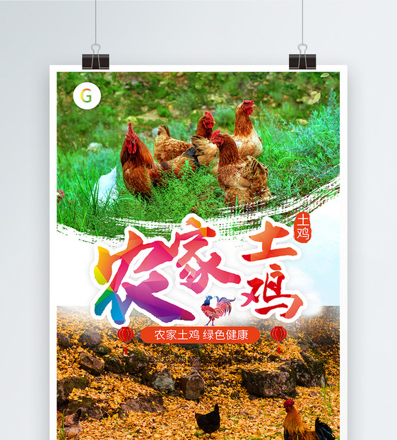 农家土鸡宣传海报图片