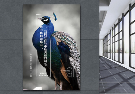 保护野生动物孔雀公益海报设计图片