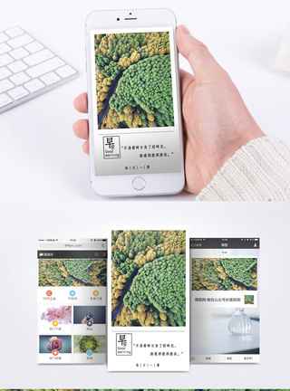 森林公路早安你好手机海报配图模板