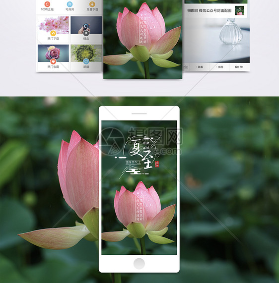 夏至节气手机海报配图图片