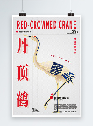 丹顶鹤动物保护公益海报图片