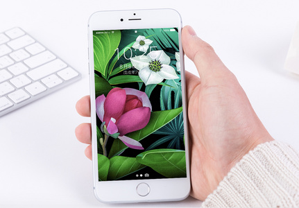 花卉植物手机壁纸高清图片
