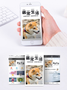 宠物生活手机海报配图图片