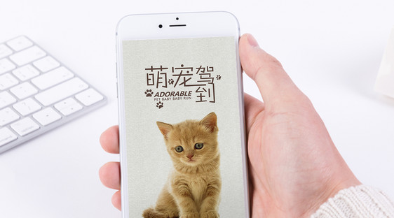 宠物生活手机海报配图图片